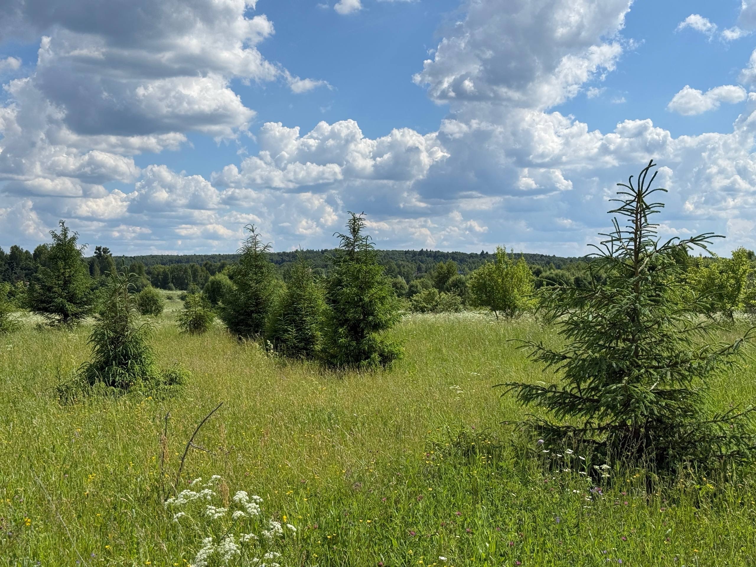 Фото домика в снегу справа